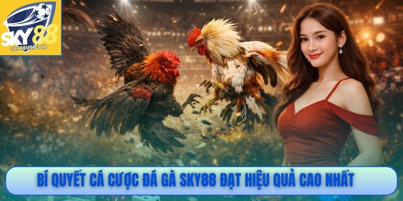 Bí quyết cá cược đá gà Sky88 đạt hiệu quả cao nhất
