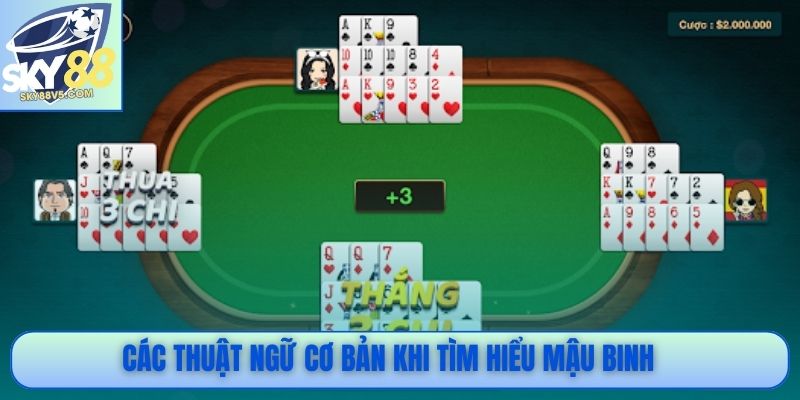 Mậu Binh Là Gì? Hướng Dẫn Cách Chơi Đúng Luật Từ A Đến Z 3 Các thuật ngữ cơ bản khi tìm hiểu mậu binh