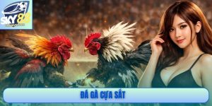 Đá Gà Cựa Sắt