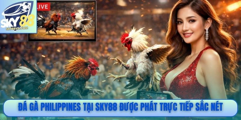 Đá gà Philippines