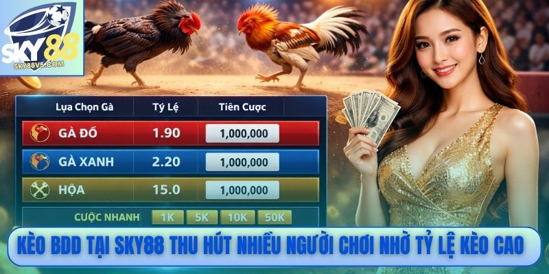 Kèo BDD tại Sky88 thu hút nhiều người chơi nhờ tỷ lệ kèo cao