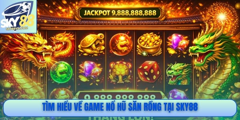 Đá gà Philippines tại Sky88 được phát trực tiếp sắc nét